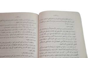 Al Nisf Al Akhar Novel - Image 9
