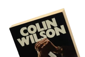 Ritual in the Dark by Colin Wilson / 1967 - Image 2