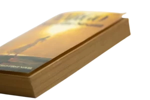 Yargo by Jacqueline Susann / 1980 - Image 6