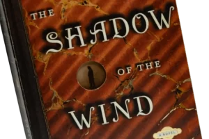 The Shadow of the Wind by Carlos Ruiz Zafn - Image 2