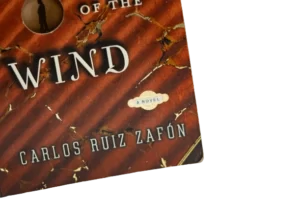 The Shadow of the Wind by Carlos Ruiz Zafn - Image 4