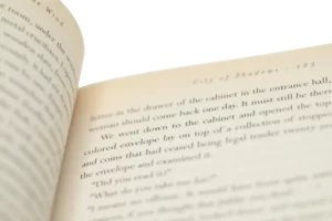 The Shadow of the Wind by Carlos Ruiz Zafn - Image 9