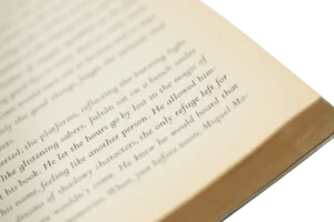 The Shadow of the Wind by Carlos Ruiz Zafn - Image 10