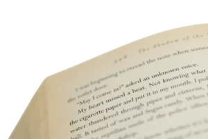 The Shadow of the Wind by Carlos Ruiz Zafn - Image 11
