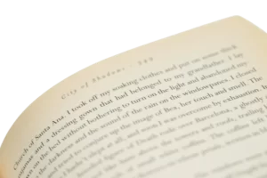 The Shadow of the Wind by Carlos Ruiz Zafn - Image 8