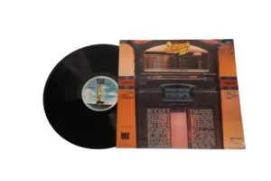 Mudrock Vol. 2 It's Usual / 1975 - Vinyl Record - Image 10