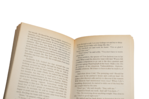 Sleep No More by Greg Iles Novel / 2002 - Image 5