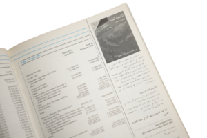 The Middle East Yearbook 1977 - Image 7