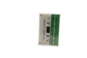 Shaggy & SWV Cassette Tape / 1997 - Image 4
