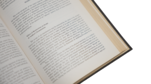 Systems Based Independent Audits Book - Image 12