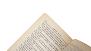McNally's Bluff Book - Image 11