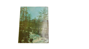 Democratic Republic of Korea 1971 - Image 14