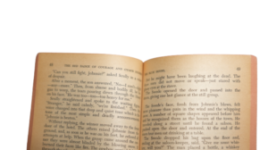 The Red Badge Of Courage Book - Image 6
