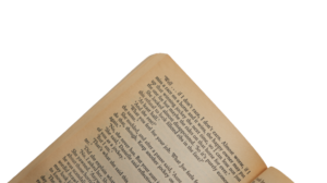 Break In Book - Dick Francis - Image 12