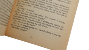 The Bear's Tears Book By Craig Thomas - Image 12