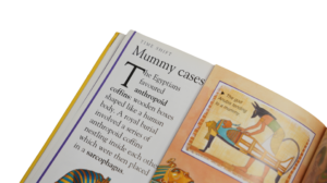 Mummies by Henrietta McCall - Image 9