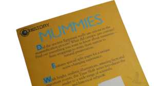 Mummies by Henrietta McCall - Image 12
