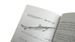 Fishing For Amateurs & Professionals Book - Image 11