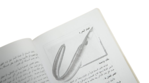 Fishing For Amateurs & Professionals Book - Image 12