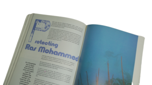 L'EGYPTE English Edition Book - Image 8