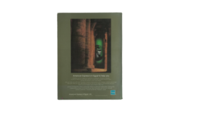 L'EGYPTE English Edition Book - Image 12