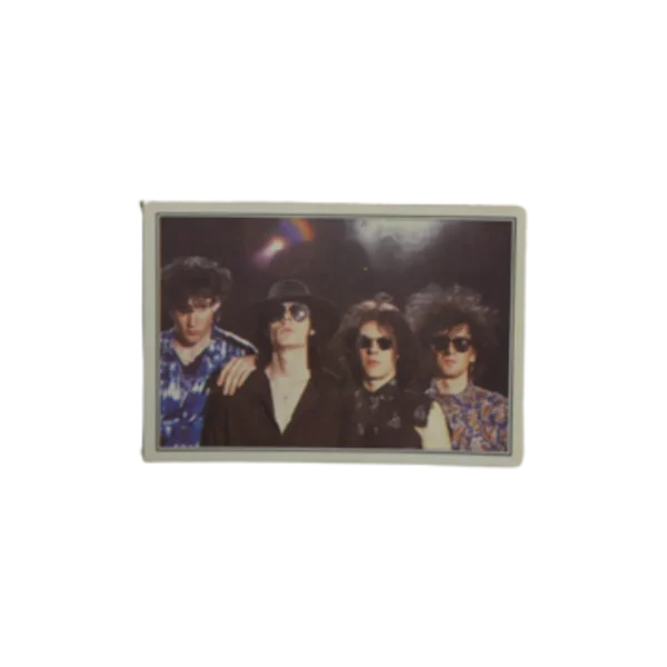 1985 Sisters of Mercy Panini Card