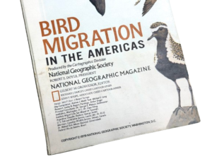 1979 National Geographic Bird Migration - Image 2