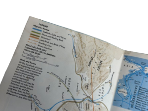 1979 National Geographic Bird Migration - Image 4