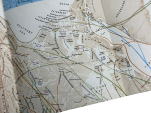 1979 National Geographic Bird Migration - Image 6