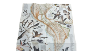 1979 National Geographic Bird Migration - Image 9