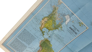 1979 National Geographic Bird Migration - Image 12