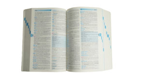 Longman: Dictionary Of Contemporary English/ 2003 - Image 10