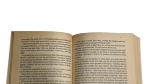 Risk Book – Dick Francis - Image 9