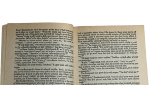 Sudden Rides Again – Oliver Strange Book - Image 8