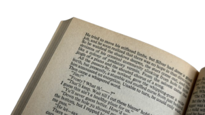 Sudden Rides Again – Oliver Strange Book - Image 10
