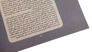 The Survival Of President Hosni Mubarak From Assassination Book - Image 9
