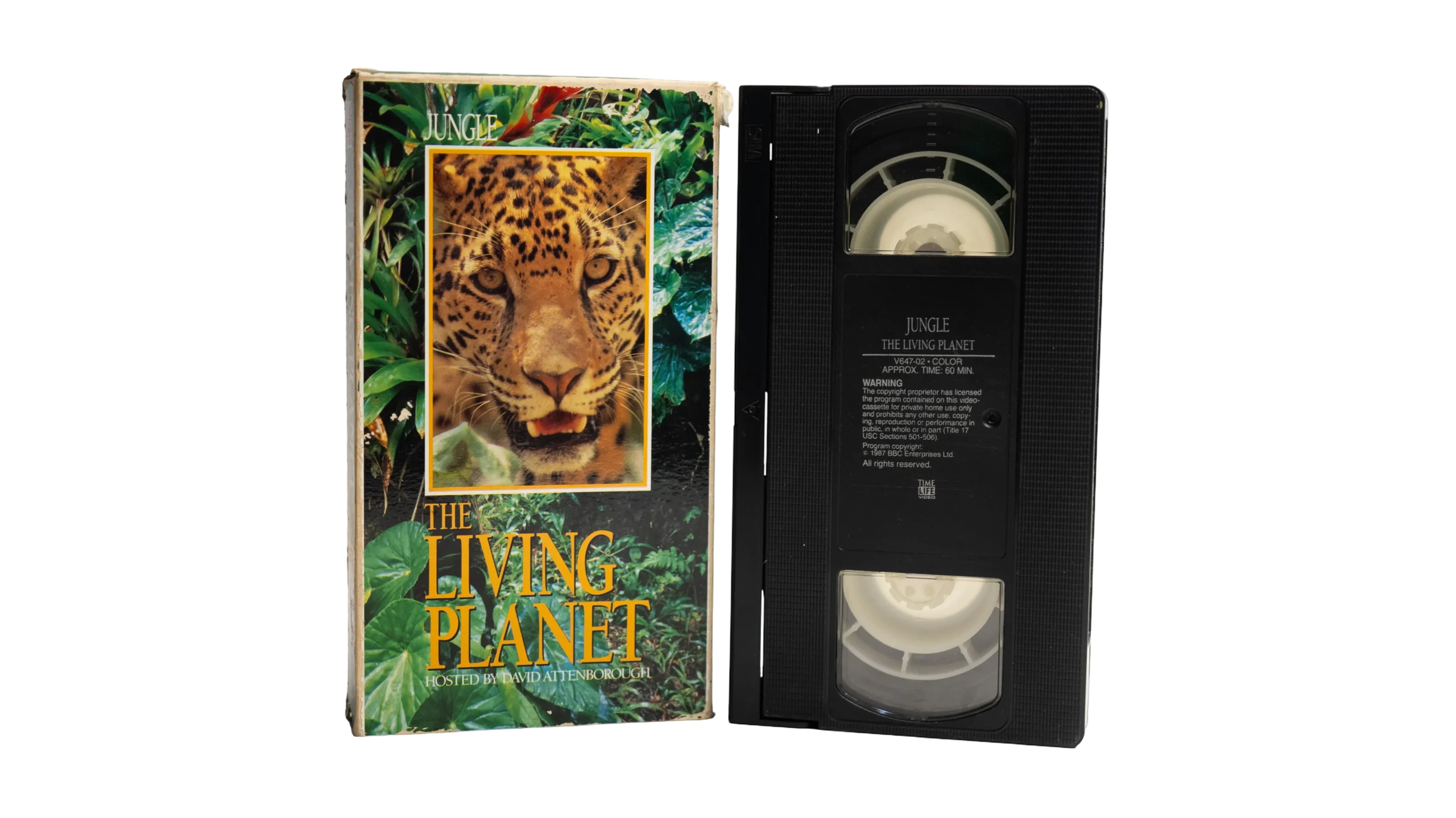 DSC03031 1993 Jungle - The Living Planet BBC Video VHS - Image 1