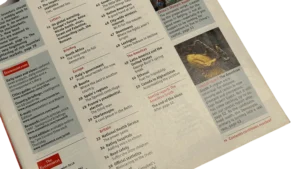 The Economist Magazine “A Walk Down Wall Street” / 2007 - Image 6
