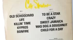 Cat Stevens Izitso 12' Vinyl 1977 - Image 10