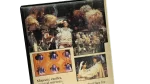 Snow White & The Seven Dwarfs VHS Tape - Image 7