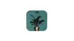 Leon The Professional Coaster