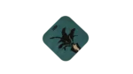Leon The Professional Coaster - Image 2