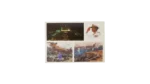 6th of October War Panorama Postal Card