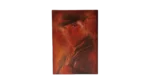 The Adventures of Indiana Jones Complete DVD Collection - Image 8