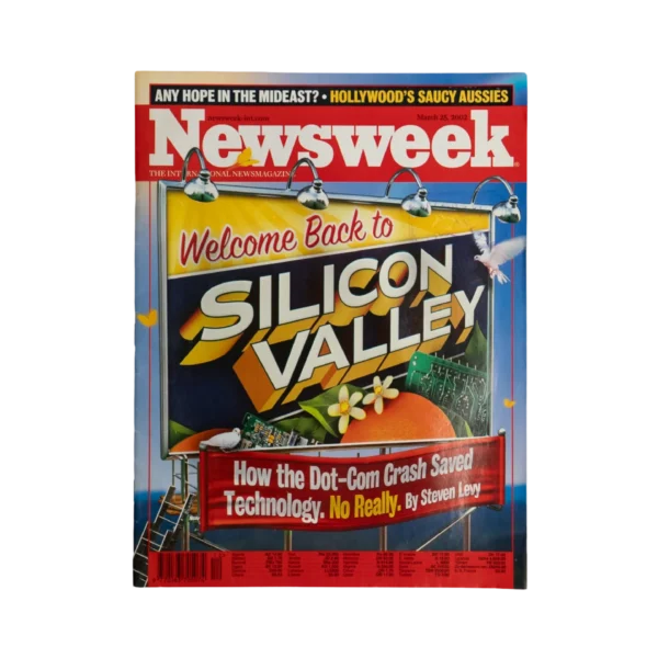 Welcome Back To Silicon Valley Newsweek Magazine 2002