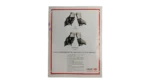 Welcome Back To Silicon Valley Newsweek Magazine 2002 - Image 10
