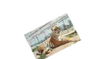 Tiger Flamingo Park Postal Card - Image 2