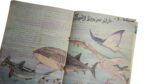 Scooting Sheep Sandouk Al-Denya Comic "Eid Issue" /  1980 - Image 5
