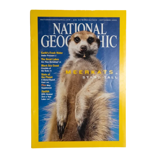 Meerkats Stand Tall – National Geographic Magazine / 2002