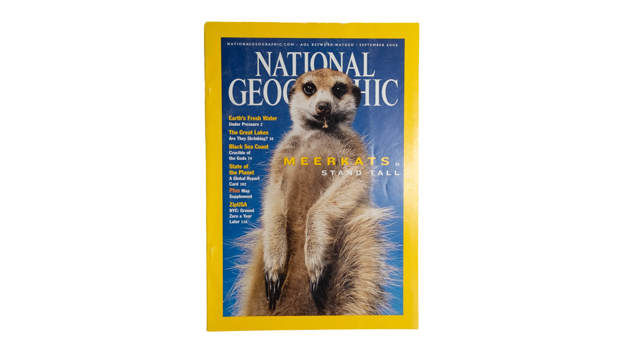 DSC08261 Meerkats Stand Tall – National Geographic Magazine / 2002 - Image 1